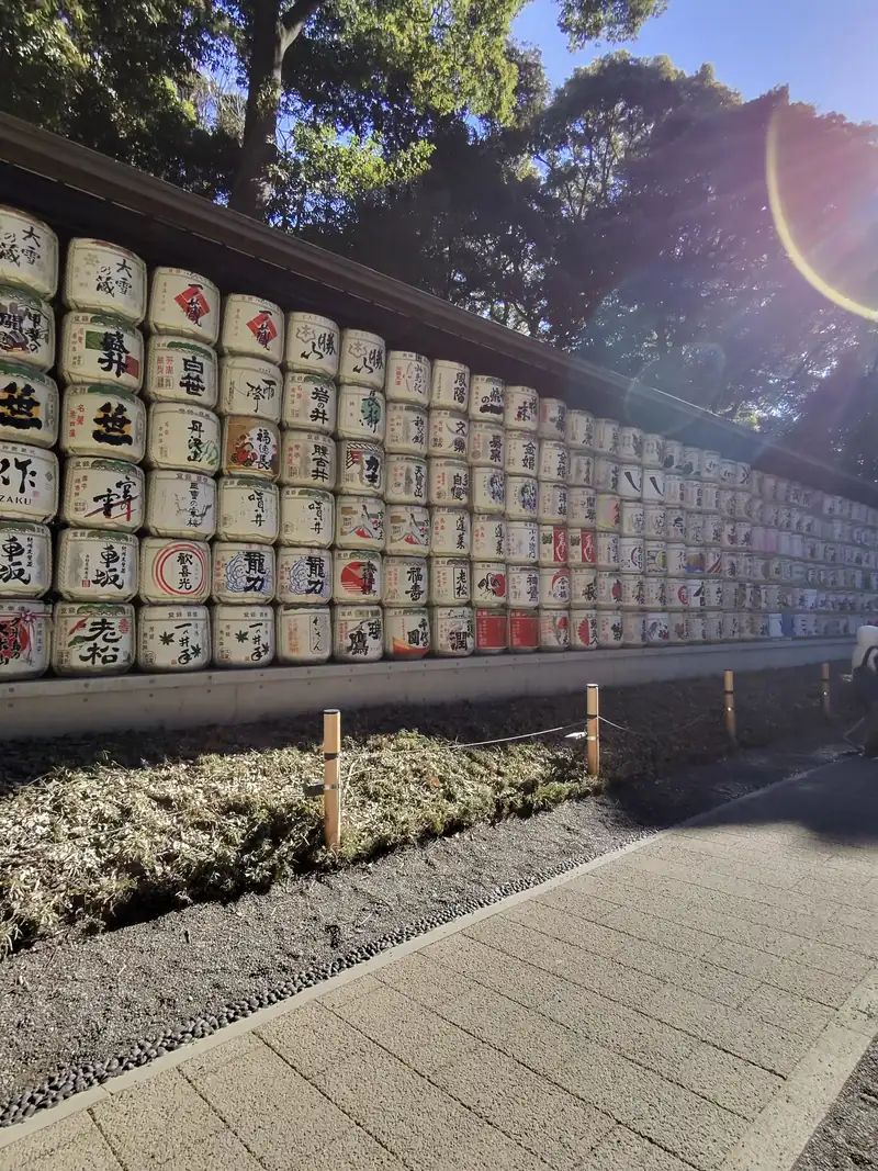 Una pared de barriles de sake decorados, con el sol filtrándose entre los árboles
