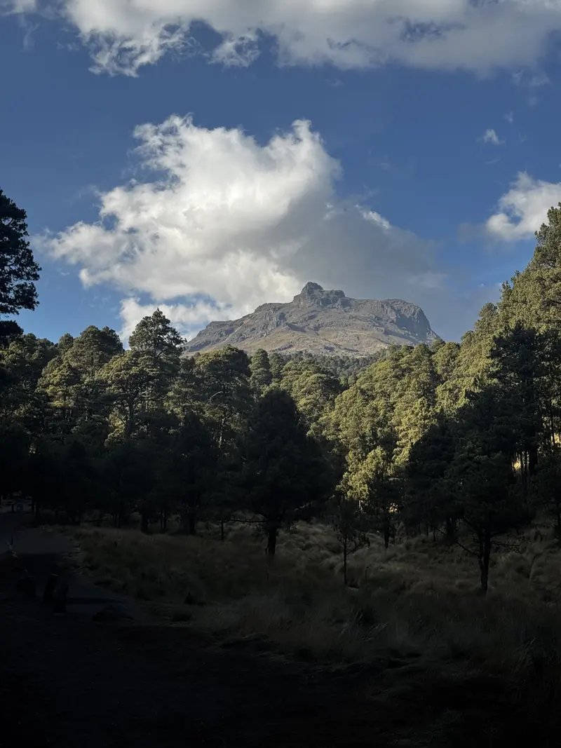 Un cerro rocoso entre nubes blancas visto desde un bosque de pinos